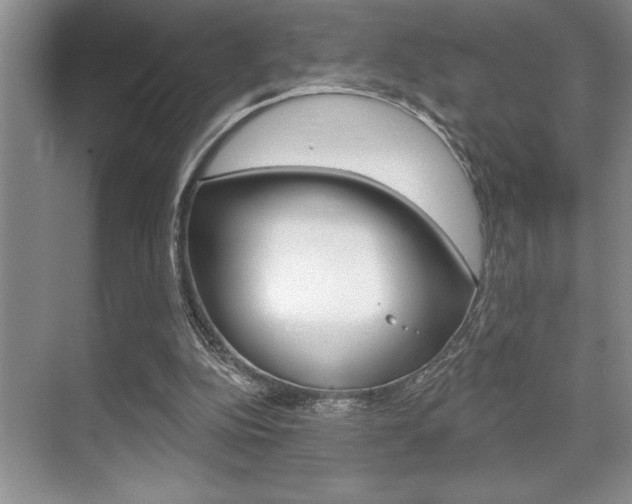 X0000070360152200606090809