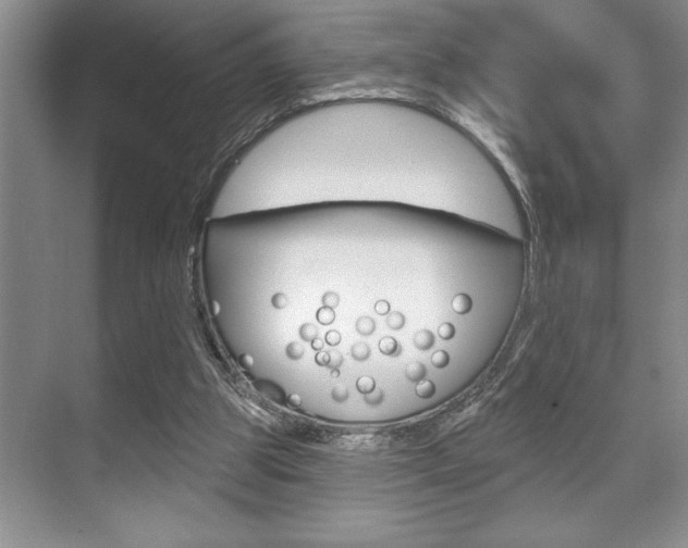 X0000070360153200606090809