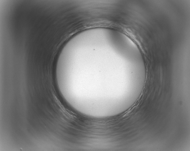 X0000070360154200606090809