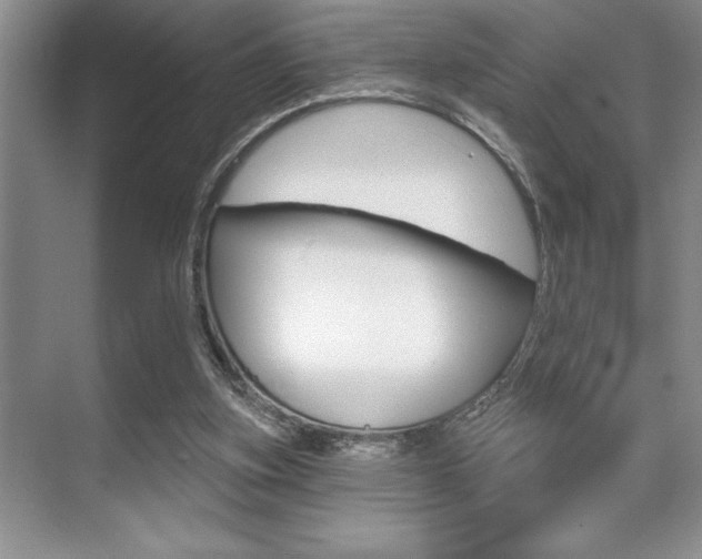 X0000070360155200606090809