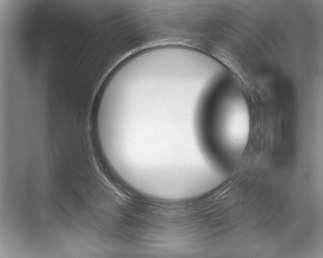 X0000070360156200606090809