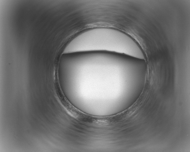 X0000070360157200606090809