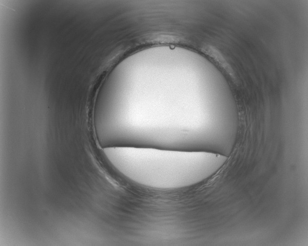 X0000070360159200606090809