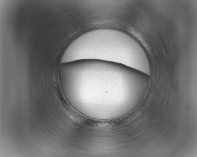 X0000070360161200606090809