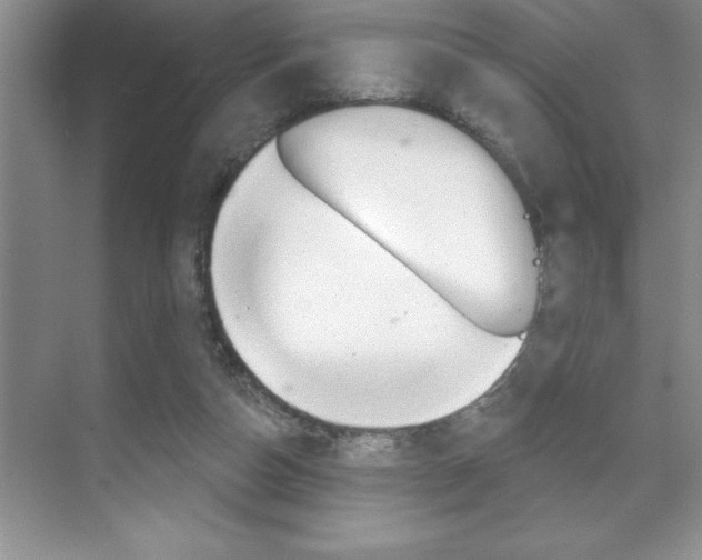 X0000070360162200606090809