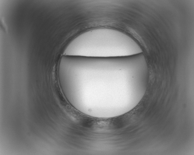 X0000070360163200606090809