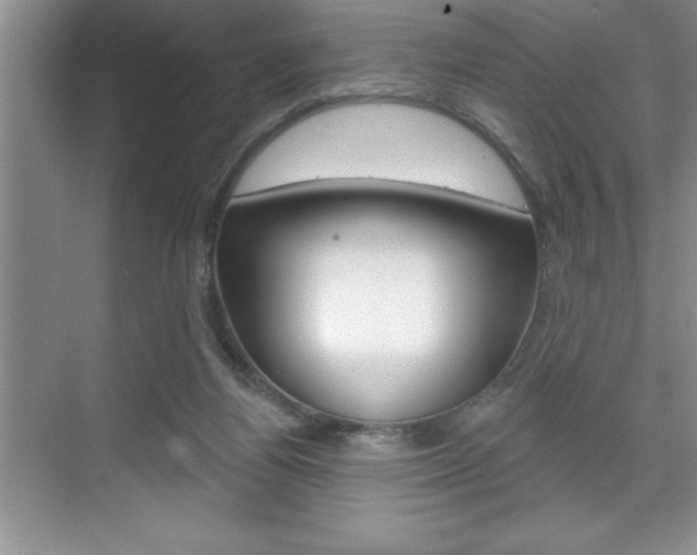 X0000070360164200606090809