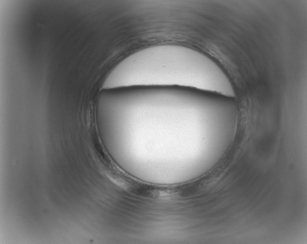 X0000070360165200606090809