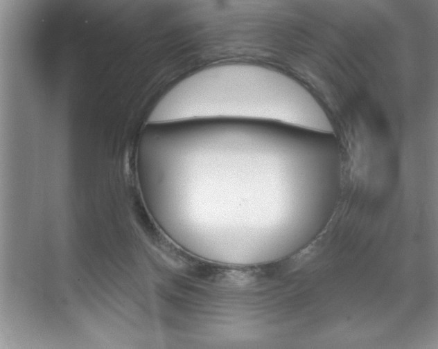 X0000070360166200606090809