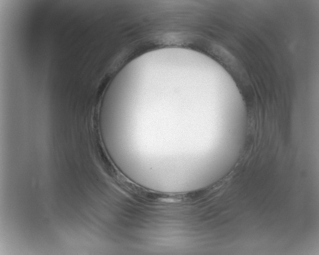 X0000070360167200606090809