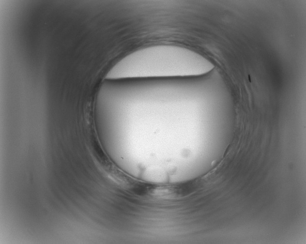 X0000070360171200606090809