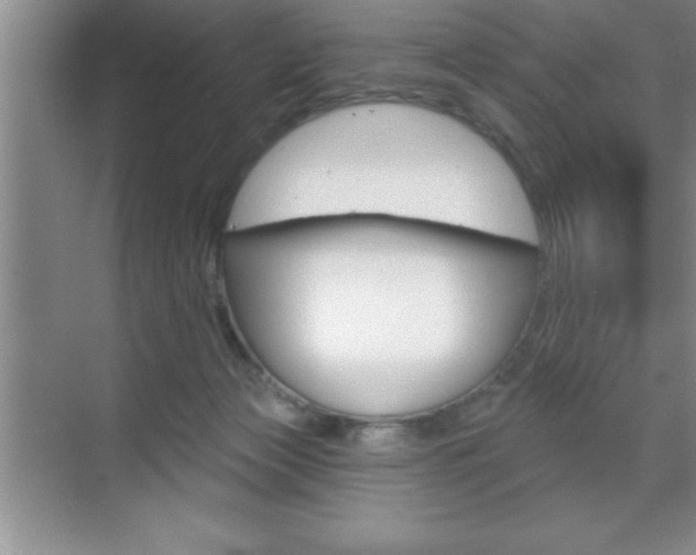 X0000070360173200606090809