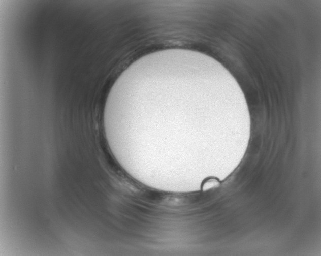 X0000070360174200606090809