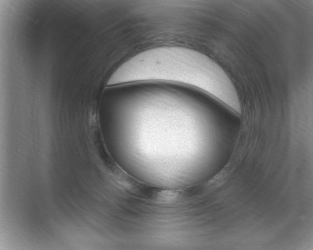 X0000070360176200606090809