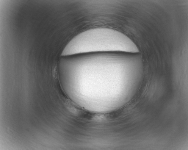 X0000070360177200606090809