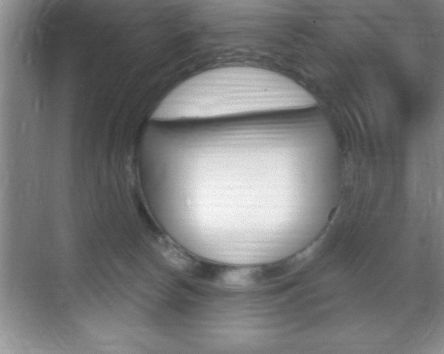 X0000070360178200606090809