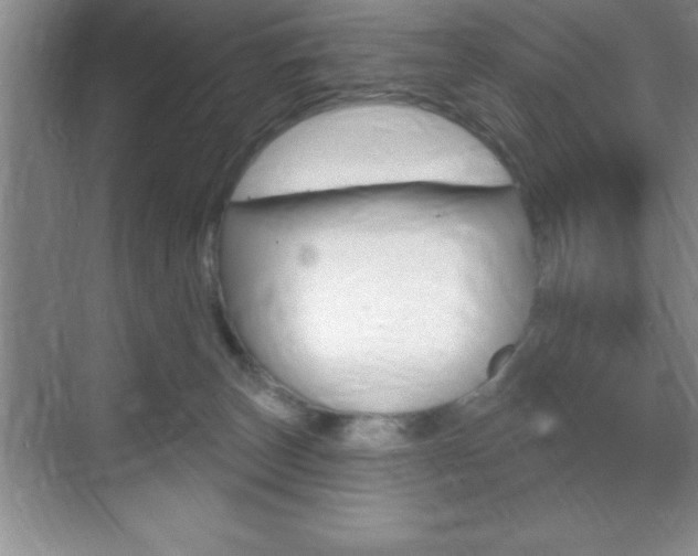 X0000070360179200606090809