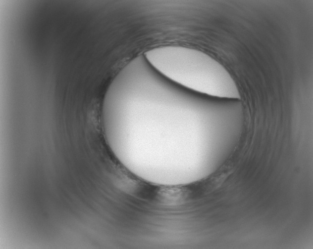 X0000070360181200606090809