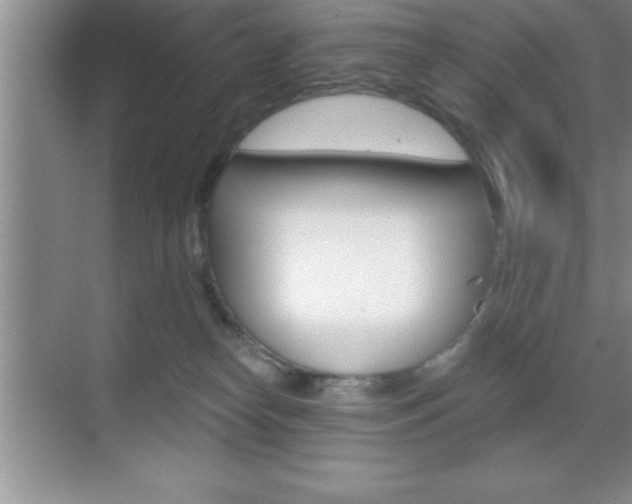 X0000070360182200606090809