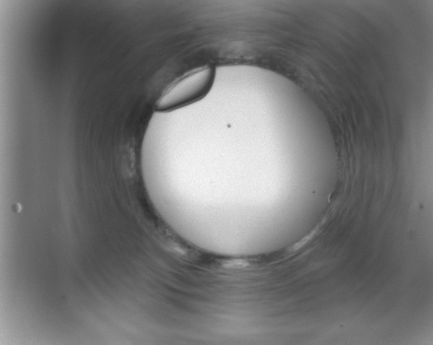 X0000070360183200606090809