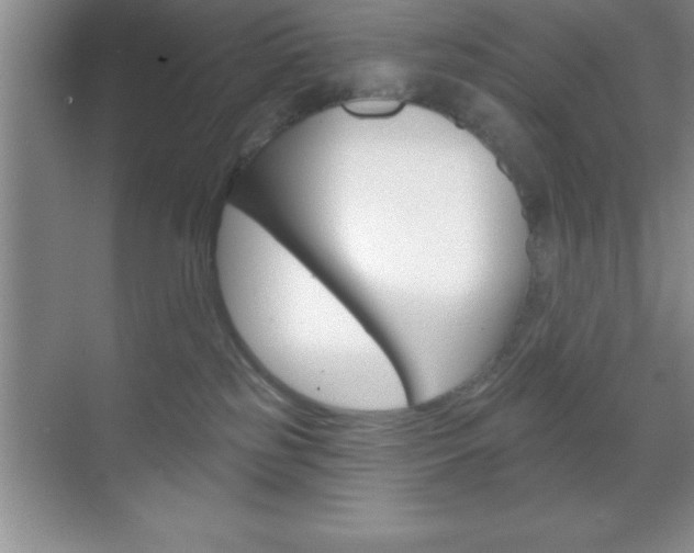 X0000070360185200606090809