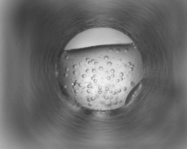 X0000070360187200606090809