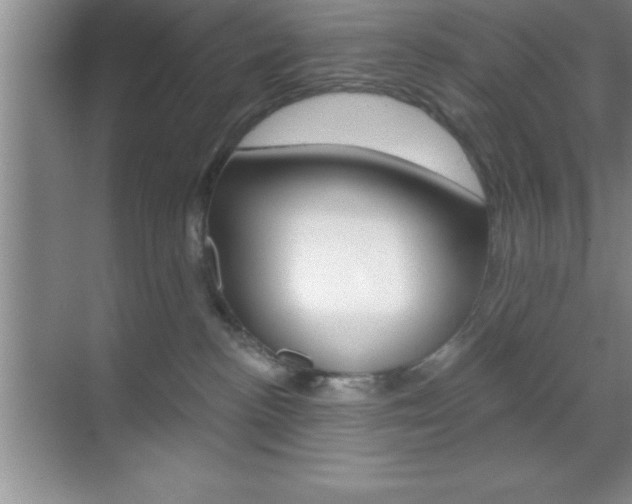 X0000070360188200606090809