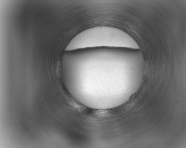 X0000070360189200606090809