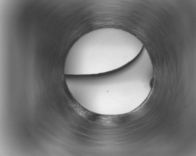 X0000070360190200606090809