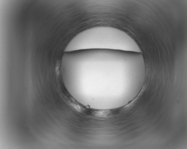 X0000070360191200606090809