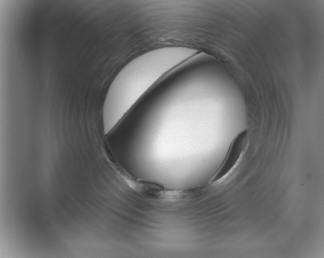 X0000070360192200606090809