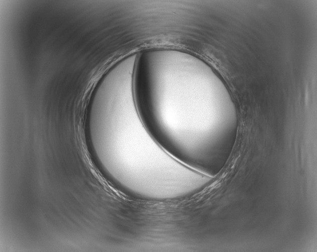 X0000070360193200606090808