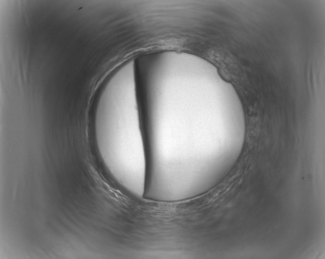 X0000070360194200606090808