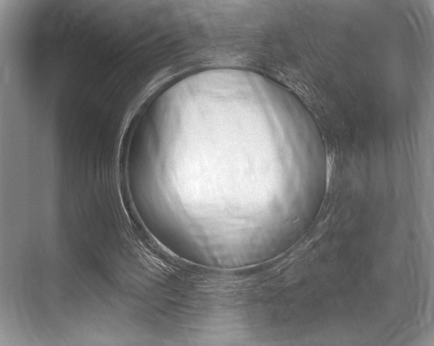 X0000070360195200606090808