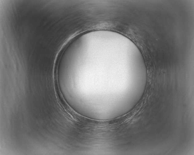 X0000070360196200606090808