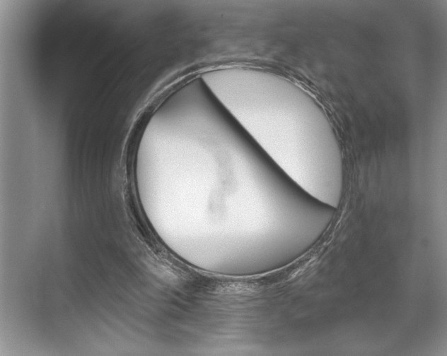 X0000070360198200606090808