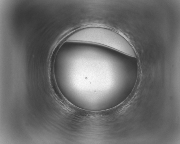 X0000070360199200606090808