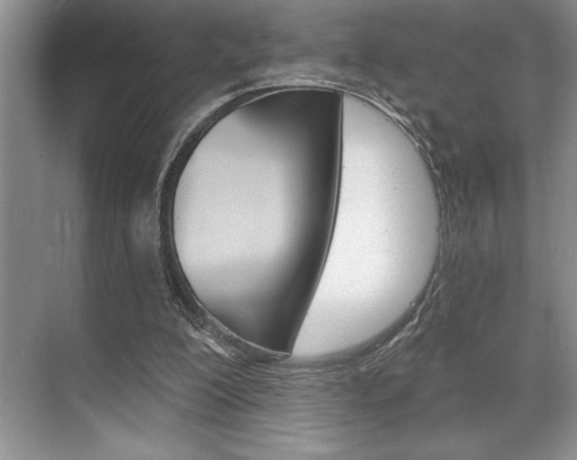 X0000070360200200606090808