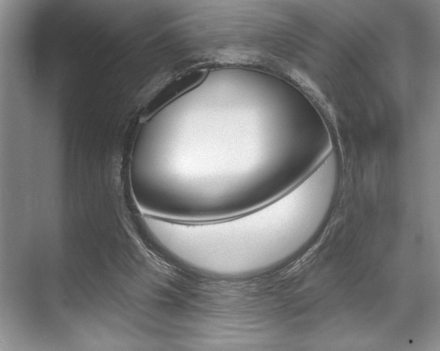 X0000070360201200606090808