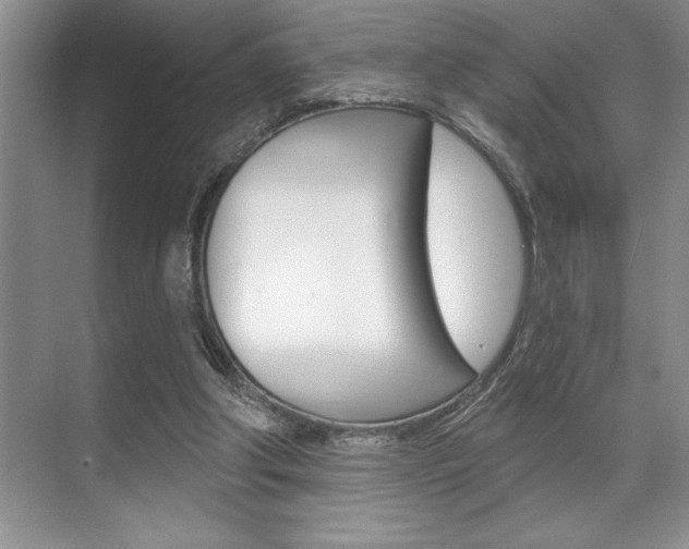 X0000070360202200606090808