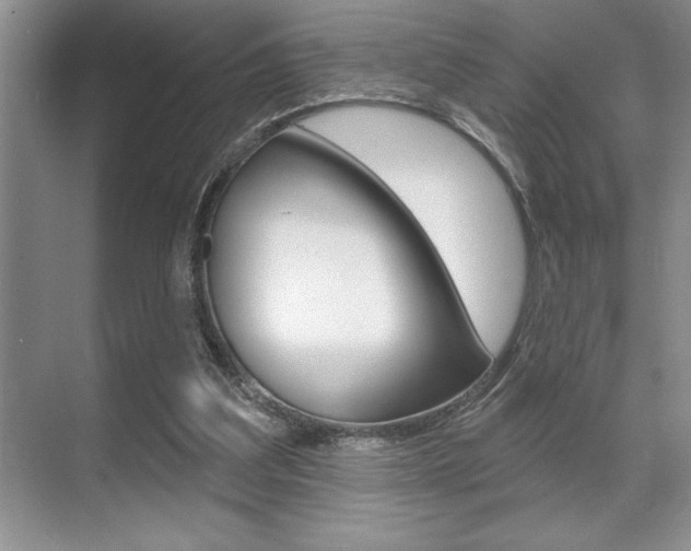 X0000070360203200606090808