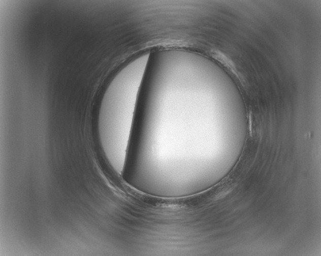 X0000070360205200606090808