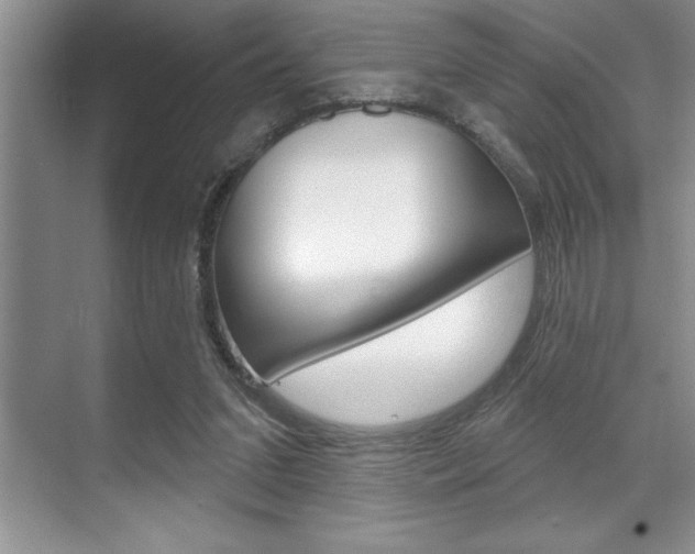 X0000070360207200606090808