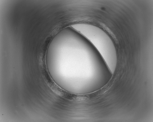 X0000070360209200606090808