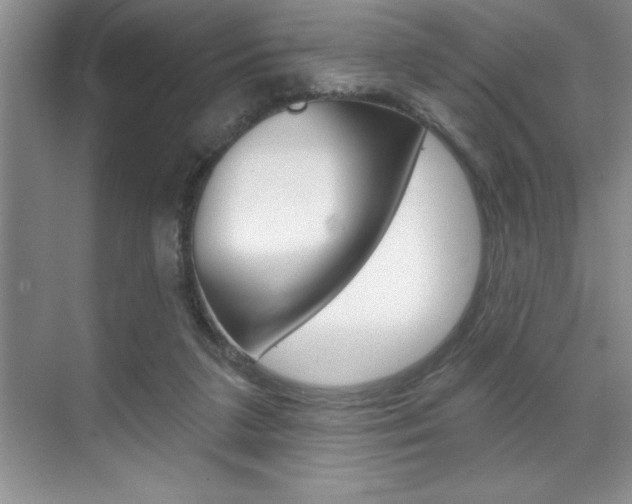 X0000070360211200606090808