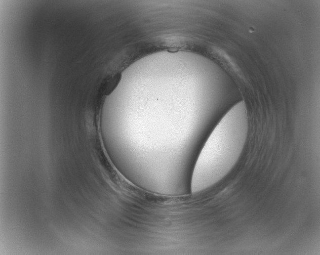 X0000070360213200606090808