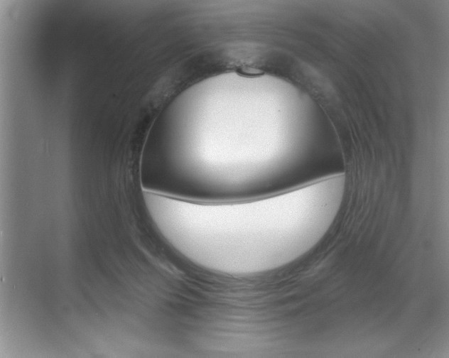 X0000070360215200606090808