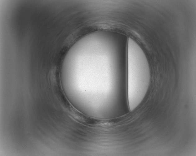 X0000070360217200606090808