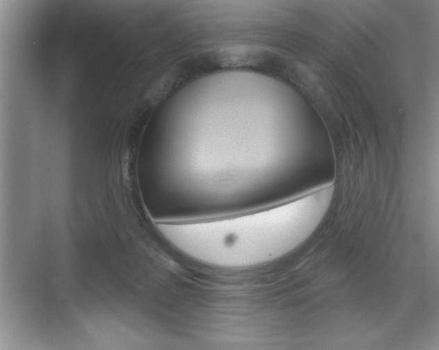 X0000070360219200606090808