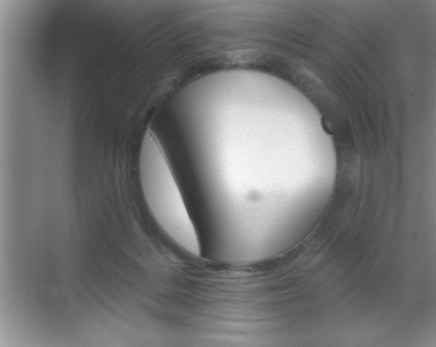 X0000070360220200606090808